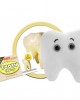GIANTMICROBES DENTE MOLARE Tooth Molar