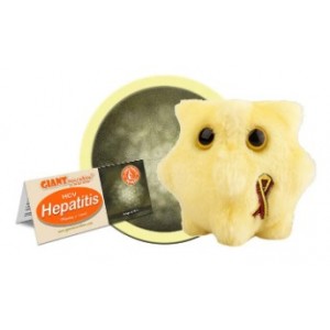 GIANTMICROBES EPATITE HCV Hepatitis