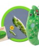 GIANTMICROBES EUGLENA (Euglena Gracilis)