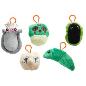 GM BOX EXOTIC VACATION Vacanze esotiche