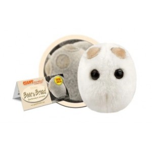 GIANTMICROBES LIEVITO BEER & BREAD