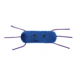 GIANTMICROBES LISTERIA 