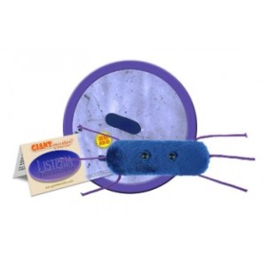 GIANTMICROBES LISTERIA 