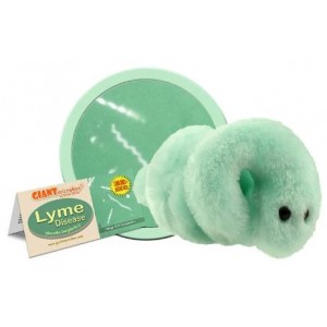 GIANTMICROBES MALATTIA DI LYME (Lyme Disease)