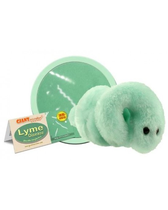GIANTMICROBES MALATTIA DI LYME (Lyme Disease)