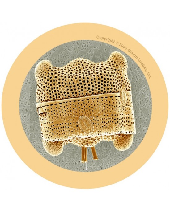 GIANTMICROBES  MINI MELMA Scum