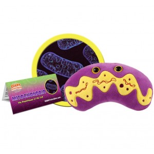 GIANTMICROBES MITOCONDRIO Mitochondria