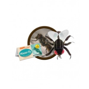 GIANTMICROBES MOSCA House Fly
