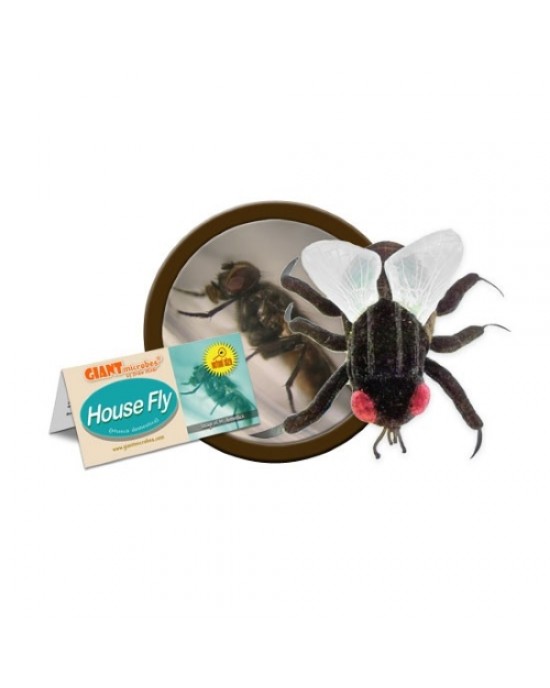 GIANTMICROBES MOSCA House Fly