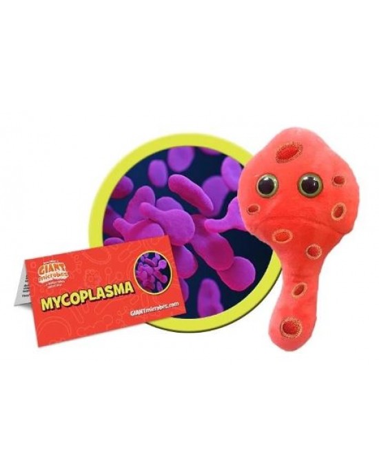 GIANTMICROBES MYCOPLASMA (Mycoplasma genitalium)