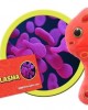 GIANTMICROBES MYCOPLASMA (Mycoplasma genitalium)