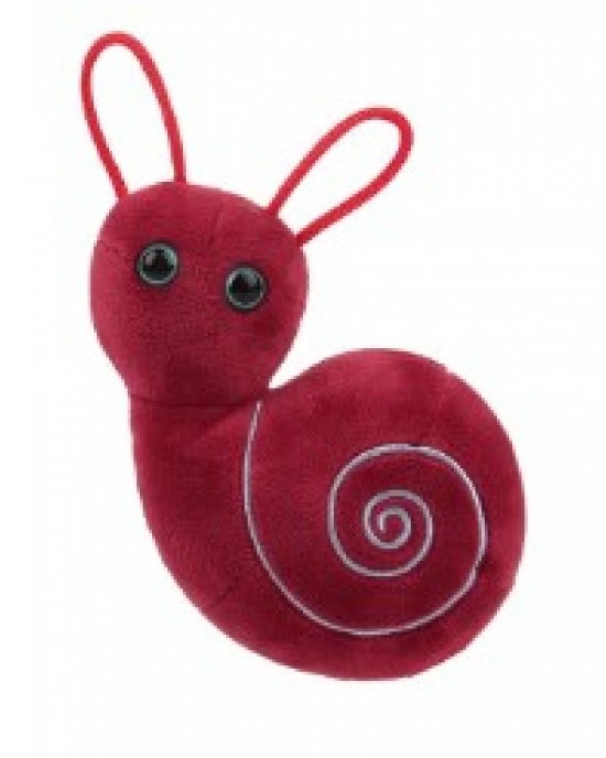 GIANTMICROBES ORECCHIO INTERNO Inner Ear