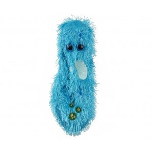 GIANTMICROBES PARAMECIO Paramecium (Paramecium Caudatum)