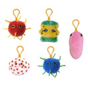 GM BOX LE PIAGHE DEL 21° SECOLO