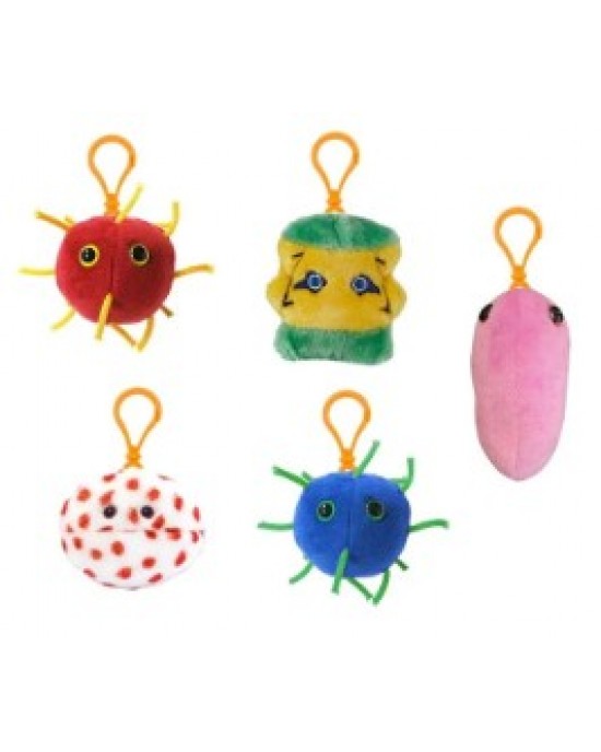 GM BOX LE PIAGHE DEL 21° SECOLO