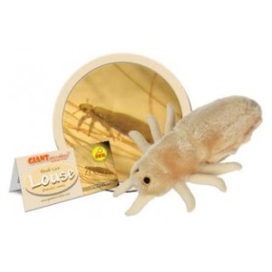 GIANTMICROBES PIDOCCHIO Louse