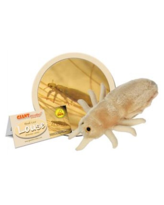 GIANTMICROBES PIDOCCHIO Louse