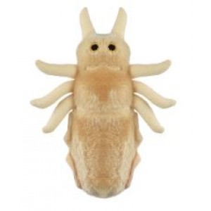 GIANTMICROBES PIDOCCHIO Louse