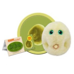 GIANTMICROBES POLLINE - FEBBRE DA FIENO Pollen (Hay Fever)