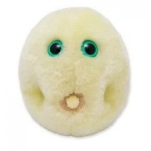 GIANTMICROBES POLLINE - FEBBRE DA FIENO Pollen (Hay Fever)