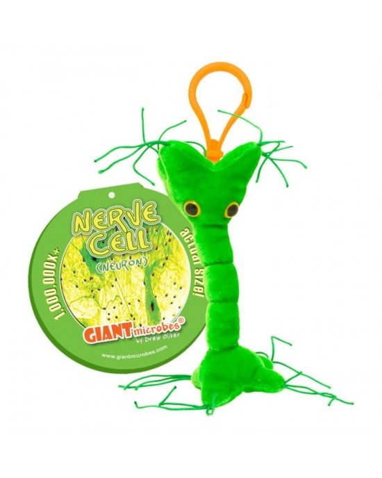 GIANTMICROBES PORTACHIAVI CELLULA NERVOSA Nerve Cell