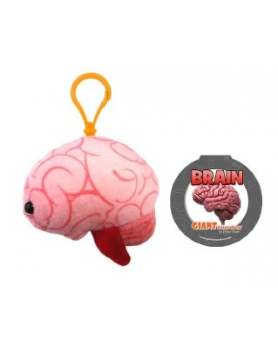 GIANTMICROBES PORTACHIAVI CERVELLO Brain