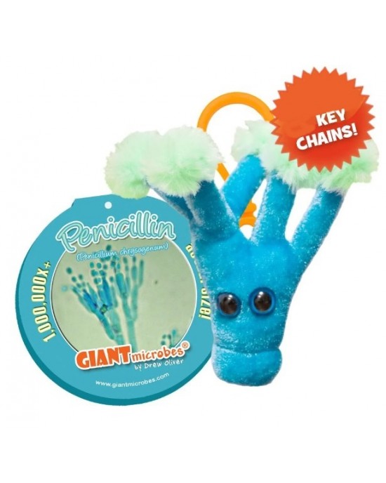 GIANTMICROBES PORTACHIAVI PENICILLINA Penicillin