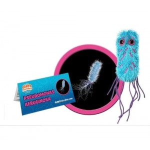 GIANTMICROBES PSEUDOMONAS AERUGINOSA