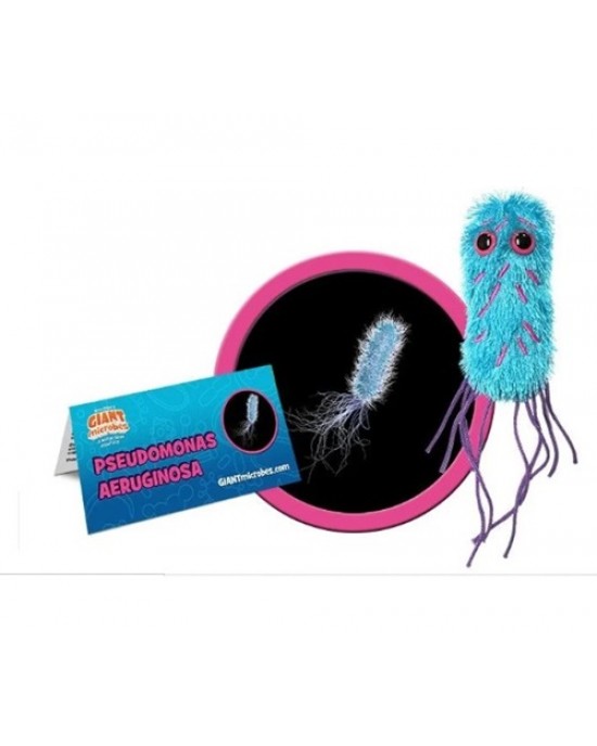 GIANTMICROBES PSEUDOMONAS AERUGINOSA