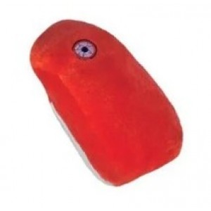 GIANTMICROBES RABBIA VIRUS Rabies