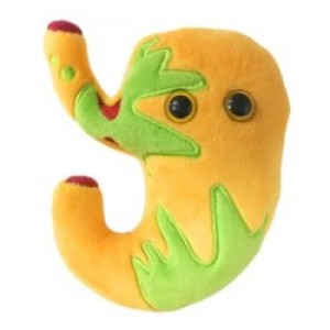 GIANTMICROBES REFLUSSO ACIDO Acid Reflux Gerd