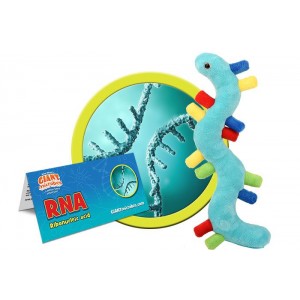 GIANTMICROBES RNA Ribonucleic acid