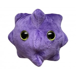 GIANTMICROBES RSV (Respiratory syncytial virus)
