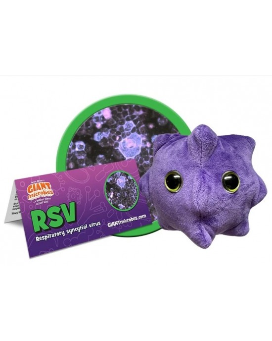 GIANTMICROBES RSV (Respiratory syncytial virus)