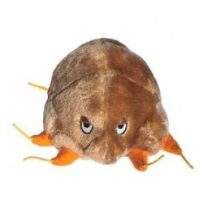GIANTMICROBES SCABBIA Mange (Sarcoptes Scabiei)