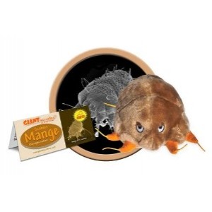 GIANTMICROBES SCABBIA Mange (Sarcoptes Scabiei)