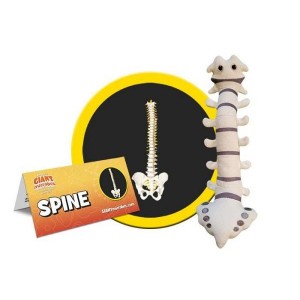 GIANTMICROBES SPINA DORSALE - spine
