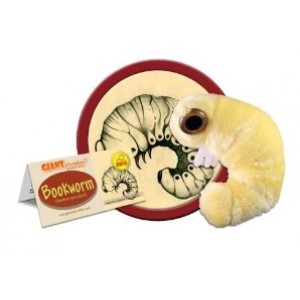 GIANTMICROBES TARLO DEI LIBRI Bookworm (Anobium Punctatum)