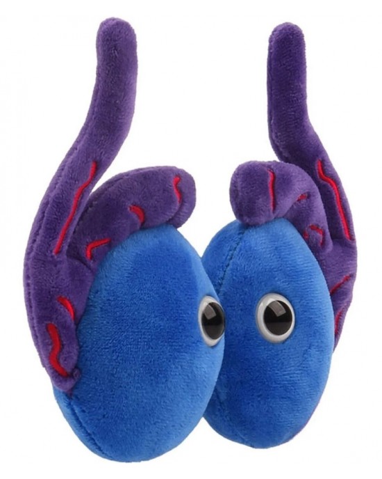 GIANTMICROBES PELUCHE TESTICOLI Testicles