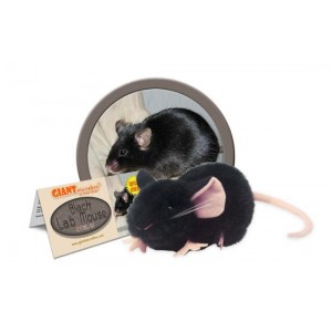 GIANTMICROBES TOPO NERO (CAVIA) Black Lab Mouse