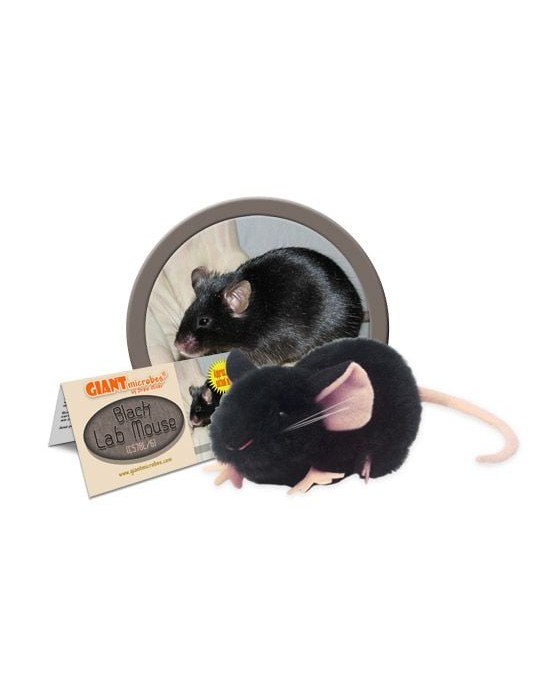 GIANTMICROBES TOPO NERO (CAVIA) Black Lab Mouse