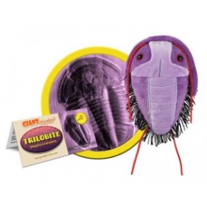 GIANTMICROBES TRILOBITE (Asaphiscus Wheeleri)