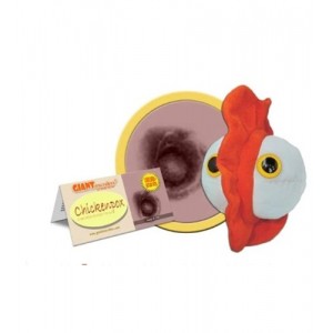 GIANTMICROBES VARICELLA ZOSTER VIRUS Chikenpox