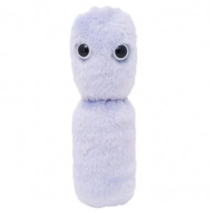 GIANTMICROBES YOGURT (Lactobacillus Bulgaricus)