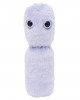 GIANTMICROBES YOGURT (Lactobacillus Bulgaricus)