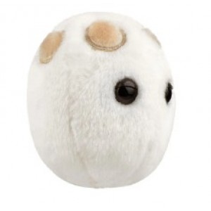 GIANTMICROBES LIEVITO BEER & BREAD