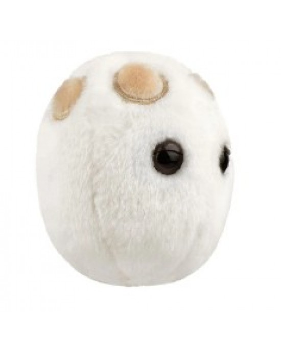 GIANTMICROBES LIEVITO BEER & BREAD