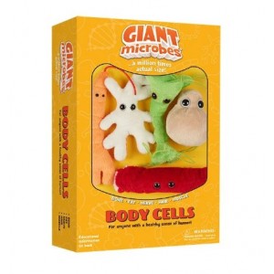 GM BOX CELLULE DEL CORPO Body Cells