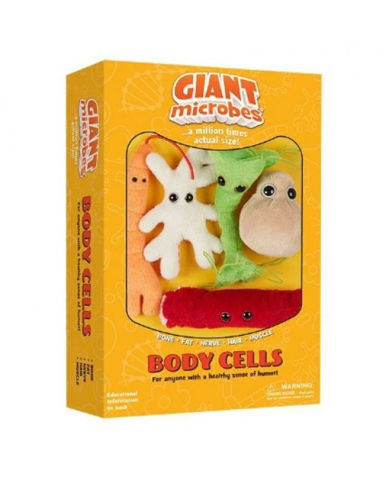 GM BOX CELLULE DEL CORPO Body Cells