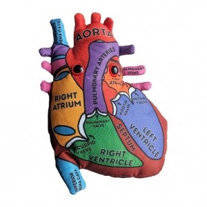 GM MODELLO CUORE XL Heart Model